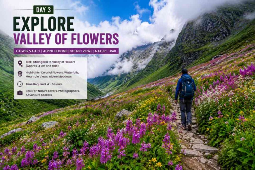 Day 3 – Explore Valley of Flowers
