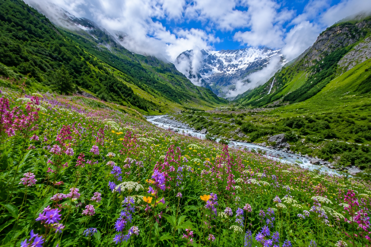 Hidden Flower Valley