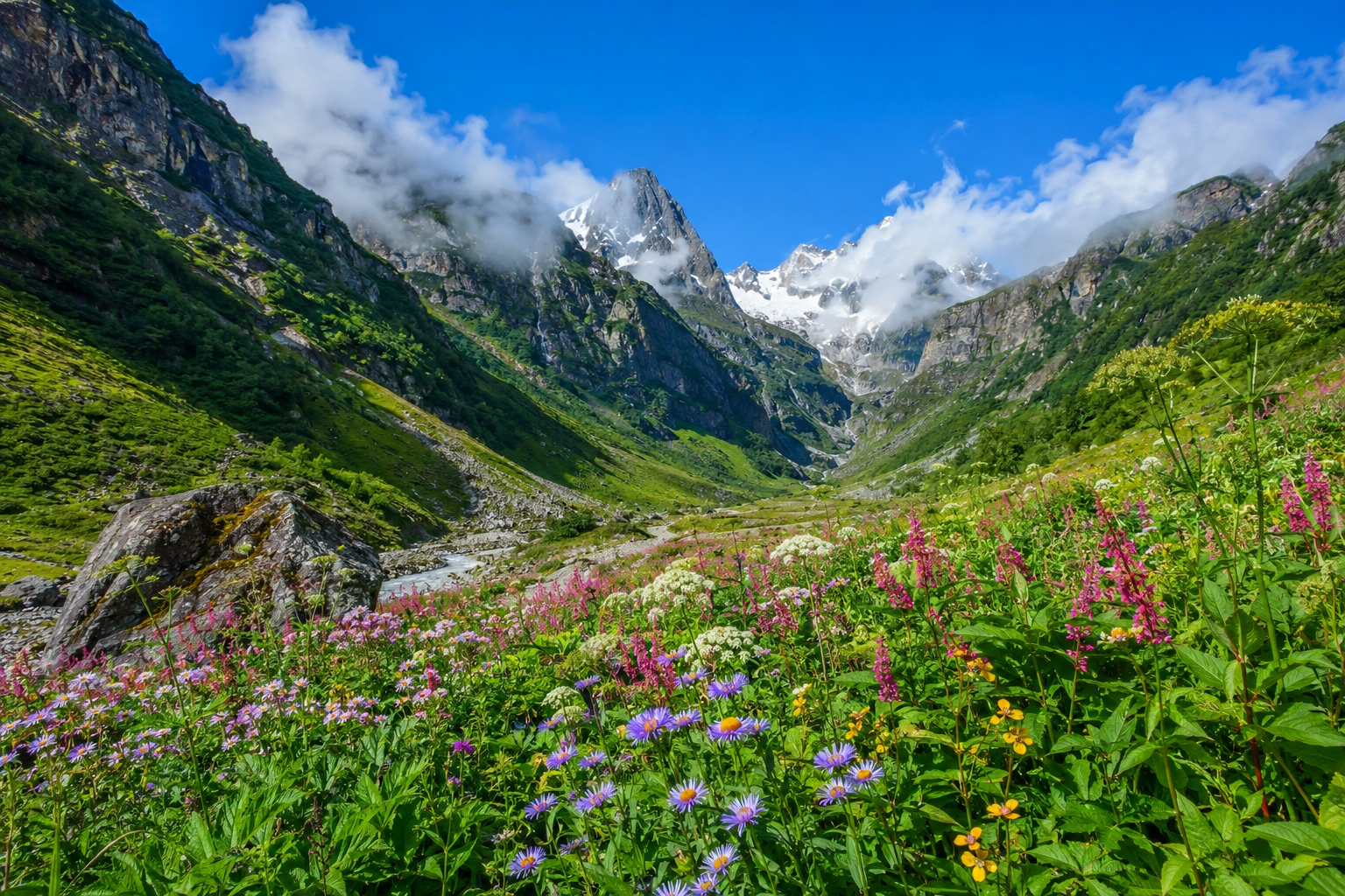 Himalayan Bloom Escape