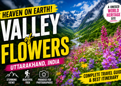 Valley of Flowers National Park