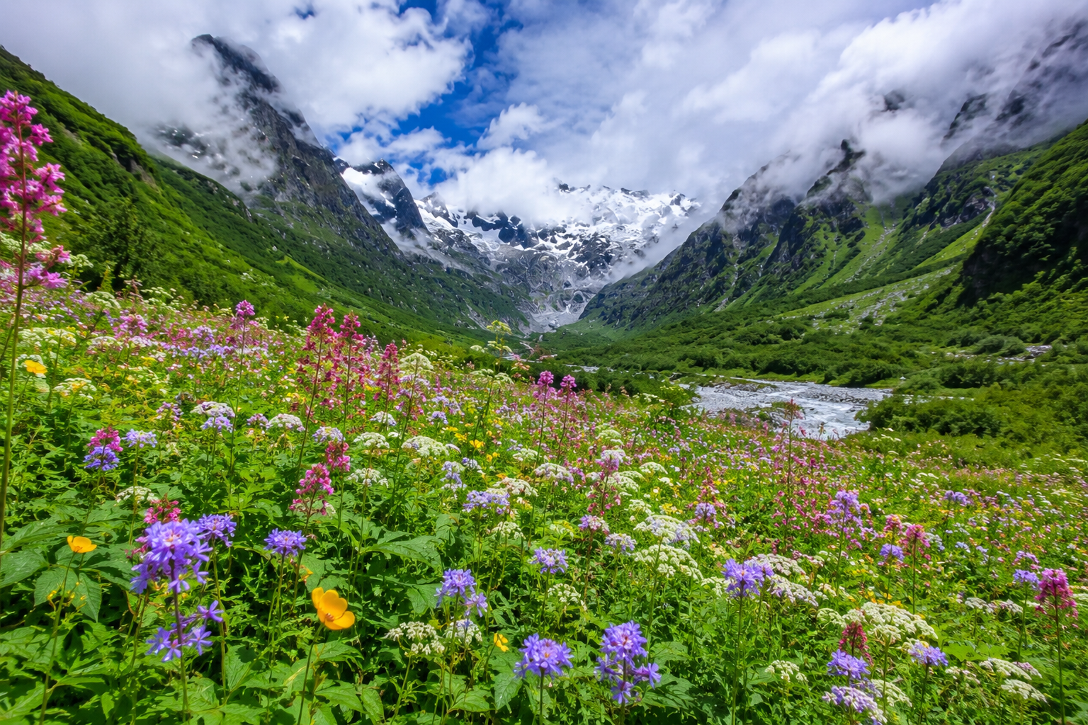 Valley of Flowers Paradise